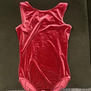 Danskin wine Velvet Leotard